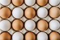 white and brown eggs laying in egg carton, full Royalty Free Stock Photo