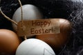 White and brown eggs a nest from sisal with greeting label Happy Easter