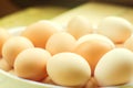 White and brown fresh chicken eggs in a plate. concept of easter Royalty Free Stock Photo