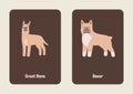 White Brown Gray Cute Illustrated Dog Breed Flashcard - 12