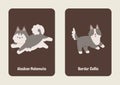 White Brown Gray Cute Illustrated Dog Breed Flashcard - 1