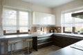 White and brown kitchen interior