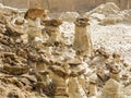 White and Brown Rimrock Hoodoos