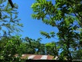 White and brown roof seen between lush green tree leaves on blue sky background Royalty Free Stock Photo