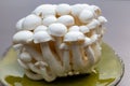 White and brown shimeji edible mushrooms native to East Asia, buna-shimeji is widely cultivated and rich umami tasting compounds