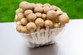 White and brown shimeji edible mushrooms native to East Asia, buna-shimeji is widely cultivated and rich umami tasting compounds Royalty Free Stock Photo