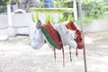 Student sneakers that are washed and hung to dry in the sun.