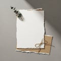 The paper texture is slightly fibrous, suited for crafting or invitatio Royalty Free Stock Photo