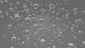 White bubble oil on grey background. Flying abstract spheres or water blobs or drops. 3d rendering. Soap Bubbles Isolated Royalty Free Stock Photo