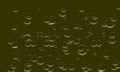 White bubbles on green background