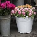 The White bucket with a bouquet of pink and orange tulips and a vase with red roses as a decoration for the entrance of the house Royalty Free Stock Photo