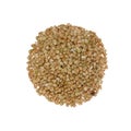 White buckwheat