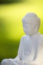 White Buddha on green 02 Royalty Free Stock Photo