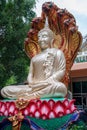 White Buddha statue with the seven head serpent sculpture