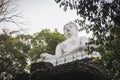 White Buddha, in the temple, in the forest