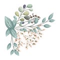 White buds flowers with leaves bouquet painting vector design