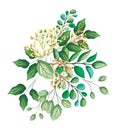 White buds flowers with leaves bouquet painting vector design