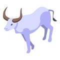 White buffalo icon isometric vector. American bison