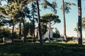 white building behind high trees in