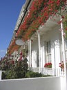 White buildings in flower