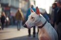 White Bull Terrier dog in city street. Generative AI