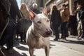 White Bull Terrier dog in city street. Generative AI