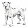 Detailed Illustration Of A Majestic White Pit Bull Dog Royalty Free Stock Photo