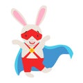 White Bunny Animal Dressed As Superhero With A Cape Comic Masked Vigilante Character