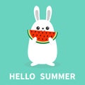 White bunny rabbit holding eating watermelon slise. Funny head face. Big ears. Cute kawaii cartoon character. Hello summer. Baby g Royalty Free Stock Photo