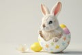 White bunny sitting inside a broken Easter egg. On light background. Banner with copy space. Ideal for Easter promotions Royalty Free Stock Photo