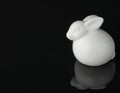 The easter bunny on black background. Glossy black background Royalty Free Stock Photo