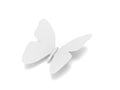 White butterfly Royalty Free Stock Photo