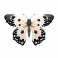 White Butterfly With Black Spots - Vector Illustration In Georgia O\'keeffe Style