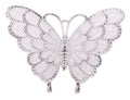 White butterfly decoration
