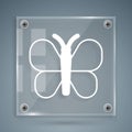 White Butterfly icon isolated on grey background. Square glass panels. Vector