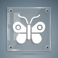 White Butterfly icon isolated on grey background. Square glass panels. Vector