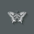 White butterfly machaon