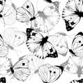 White Butterfly Vector Pattern. Vintage seamless background. Black line art drawing of insect wings. Outline Royalty Free Stock Photo