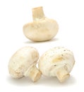 White Button Mushrooms Royalty Free Stock Photo