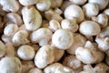 White Button Mushrooms Royalty Free Stock Photo