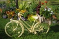 White Bicycle With Flowers