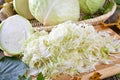 White cabbage Royalty Free Stock Photo