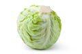 White cabbage