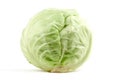 White Cabbage