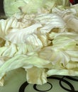White cabbage cut into pieces on the counter Royalty Free Stock Photo