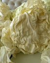 White cabbage, white cabbage for making stuffed Royalty Free Stock Photo