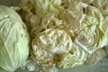 White cabbage for making stuffed,white cabbage cut into pieces on the counter Royalty Free Stock Photo