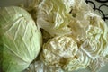 White cabbage for making stuffed,white cabbage cut into pieces on the counter Royalty Free Stock Photo