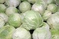 White cabbage pattern. Kale background Royalty Free Stock Photo