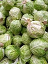 White cabbage, round heads. Fresh greens for salad and cooking